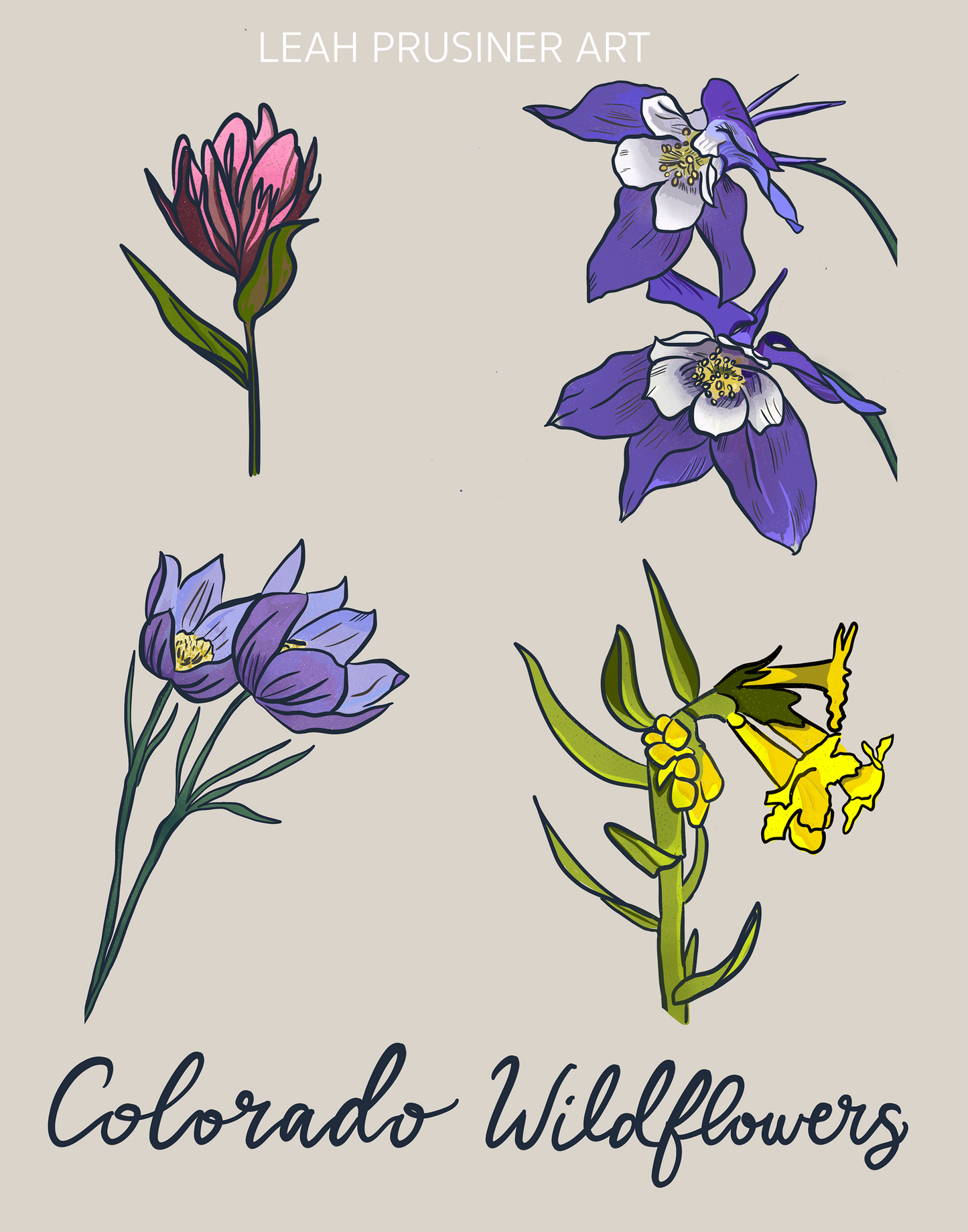 Colorado Wildflowers Art Print