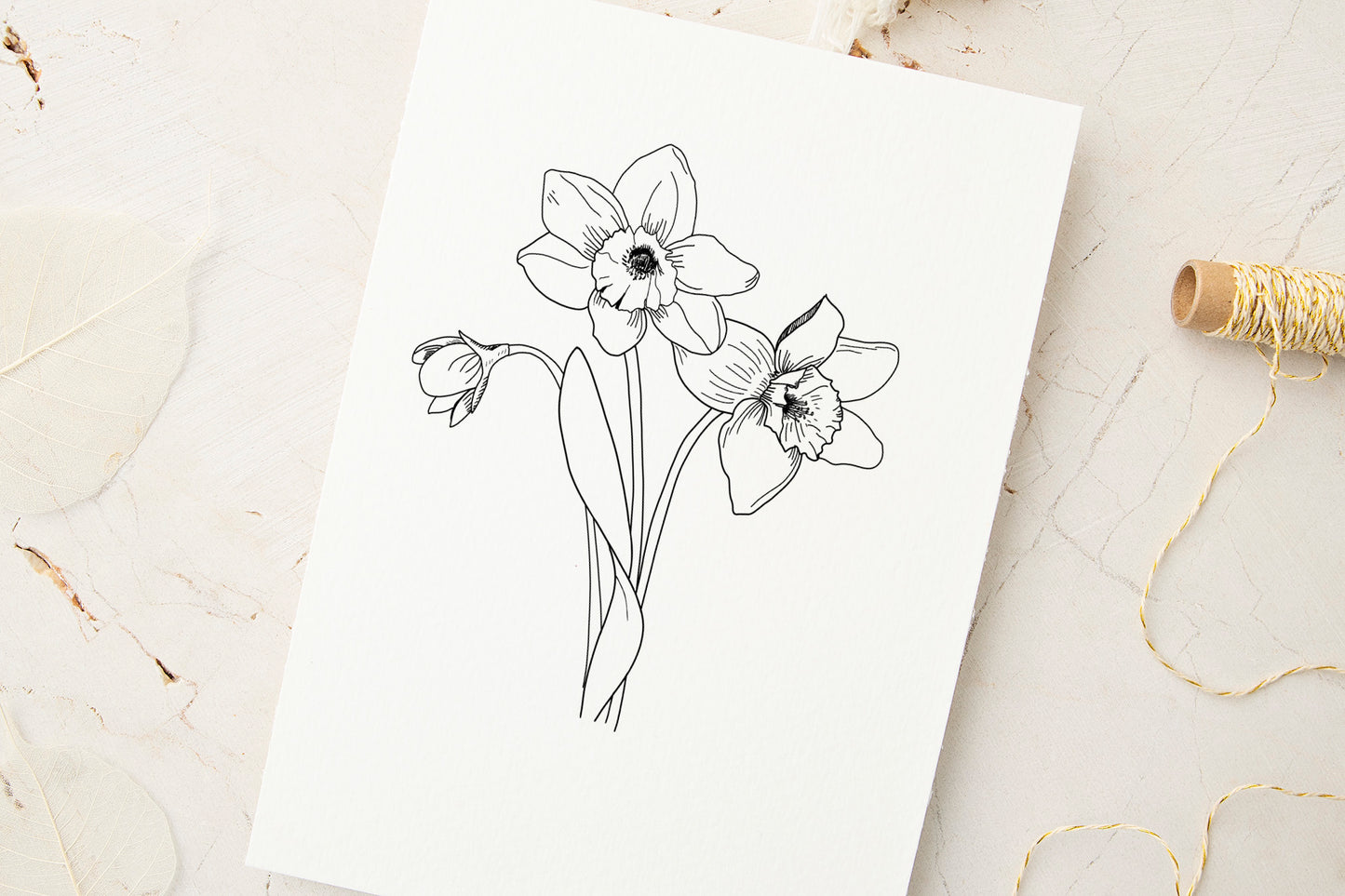 Black & White Botanical Flower Art Prints - Anemones, Lilies, Daffodils